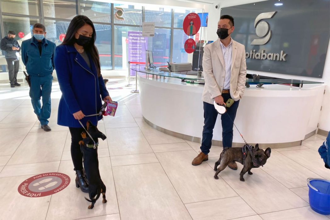 Scotiabank inaugura 22 nuevas sucursales Pet Friendly en la región 