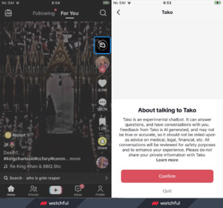 Tiktok se une al mundo de la IA y desarrolla Tako, su propio chatbot