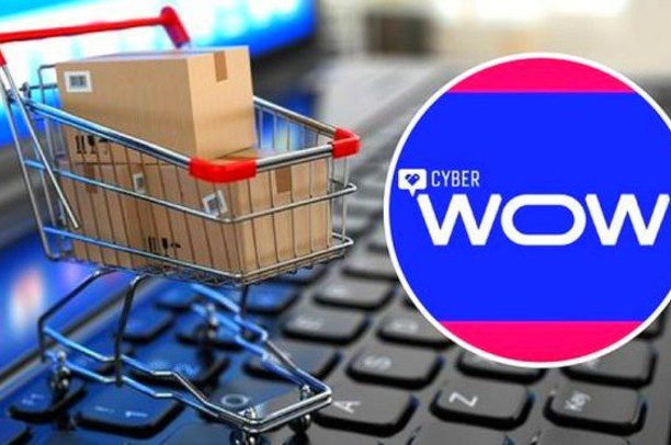 La importancia de la logística flexible para asegurar ganancias en el Cyber  Wow