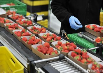 Exportaciones de frutas