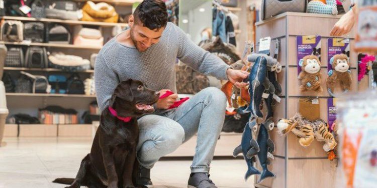 Día mundial del perro: ¿Cuánto gastan los peruanos en sus mascotas y en qué productos?
