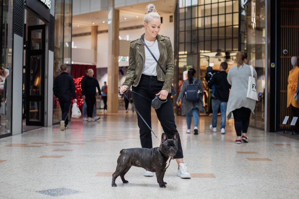 Pet Friendly Centro comercial chileno permite el ingreso de mascotas