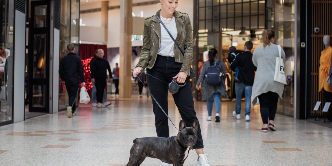 se permiten perros en el centro comercial de georgia