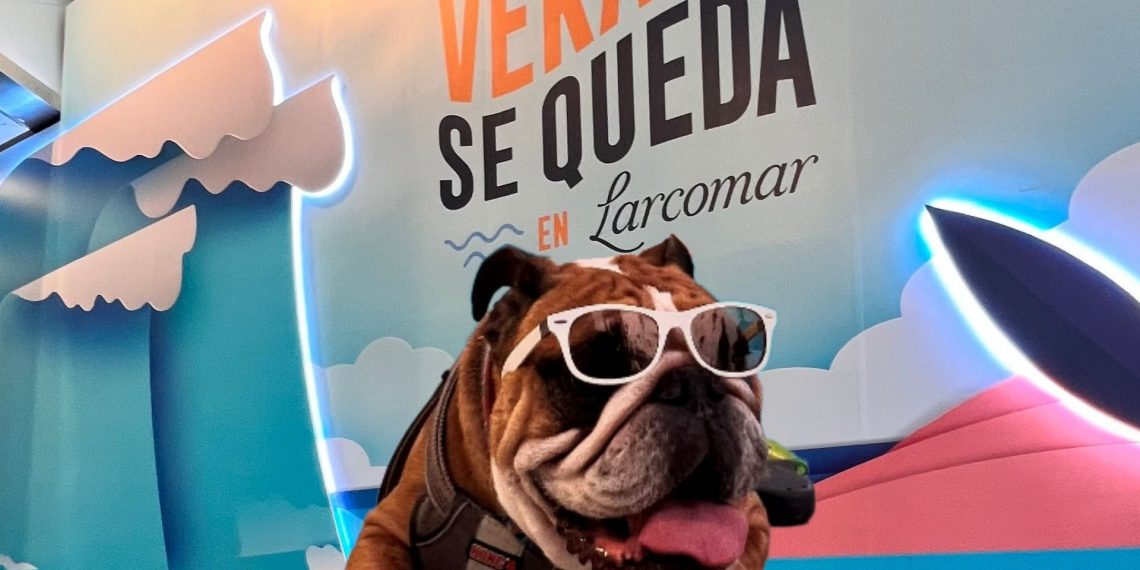 se permiten perros en el centro comercial de georgia