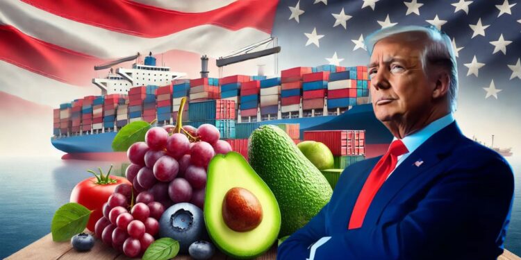 Crisis arancelaria en Estados Unidos: ¿Qué productos peruanos podrían beneficiarse?