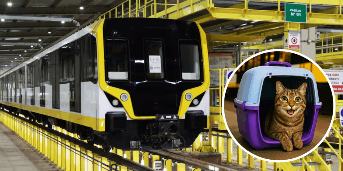 Ahora podrás viajar con tu mascota en la Línea 2 del Metro de Lima: estas son las condiciones