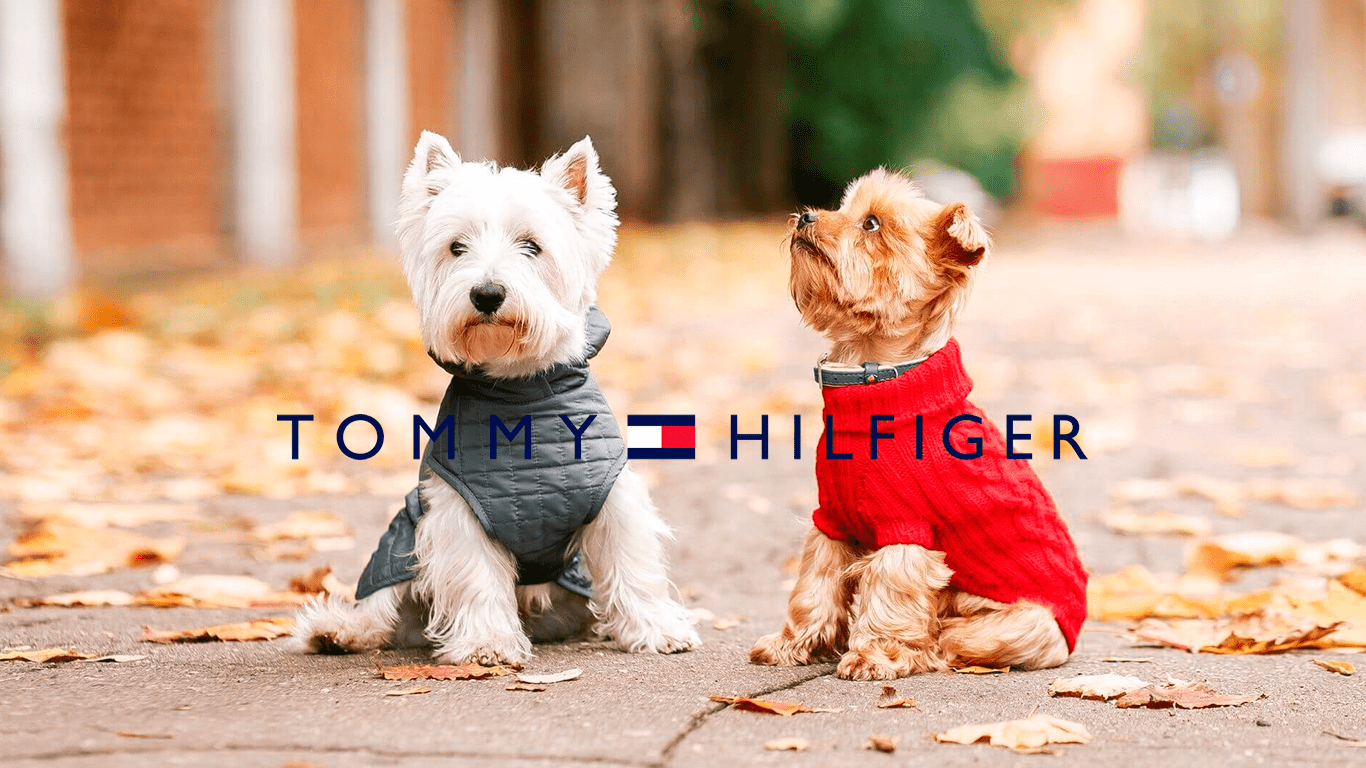 Sin valor Consejos excusa Tommy Hilfiger lanzará línea de ropa y accesorios para perros fashionistas