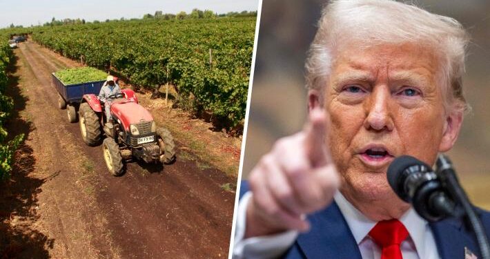 Trump impondrá aranceles a productos agrícolas importados a EE.UU. a partir del 2 de abril