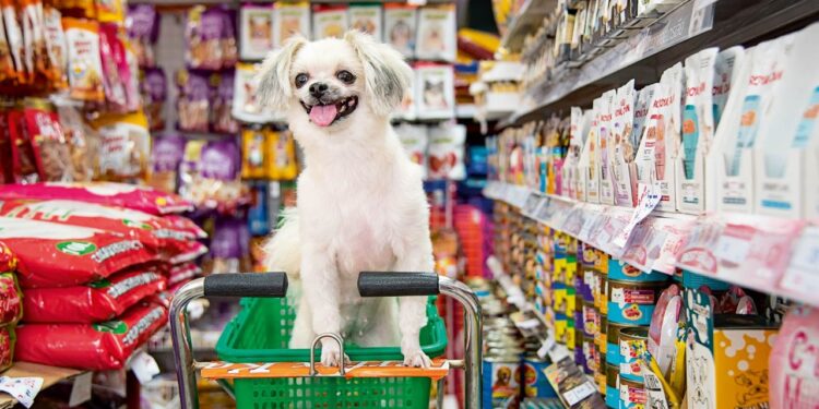 Mercado de mascotas en Perú facturaría US$ 680 millones para el 2028: Estas serán las razones