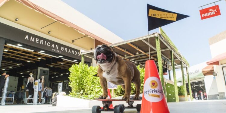 Conoce los centros comerciales Pet Friendly en Lima donde puedes llevar a tu mascota