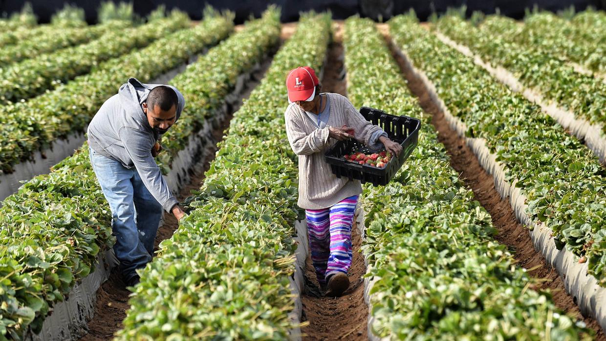INEI: economía peruana registra débil crecimiento de 0,31% en abril