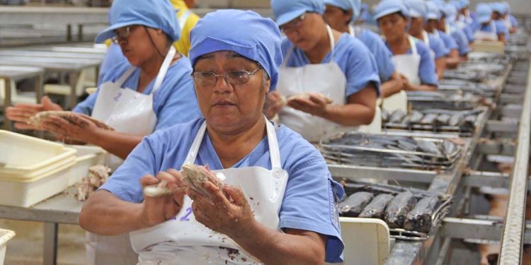 Trabajadores producen S/ 3 mil menos al año luego de la pandemia